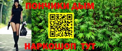 сатива Бузулук