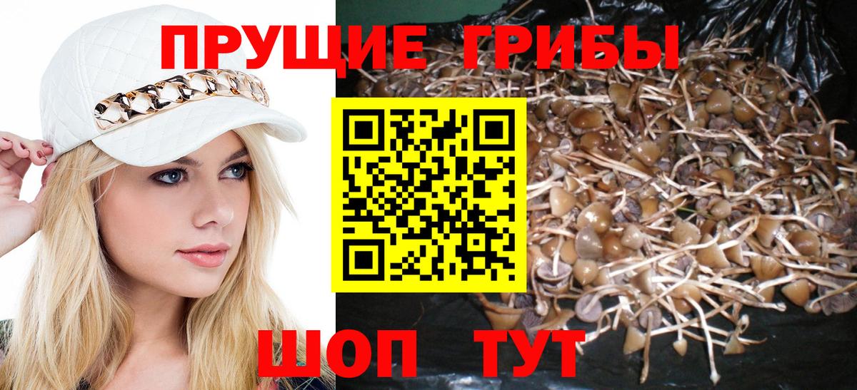МЕФ   ТГК  Гашиш  Марихуана  КОКАИН  Сызрань  Вход с VPN  Где найти наркотики? 