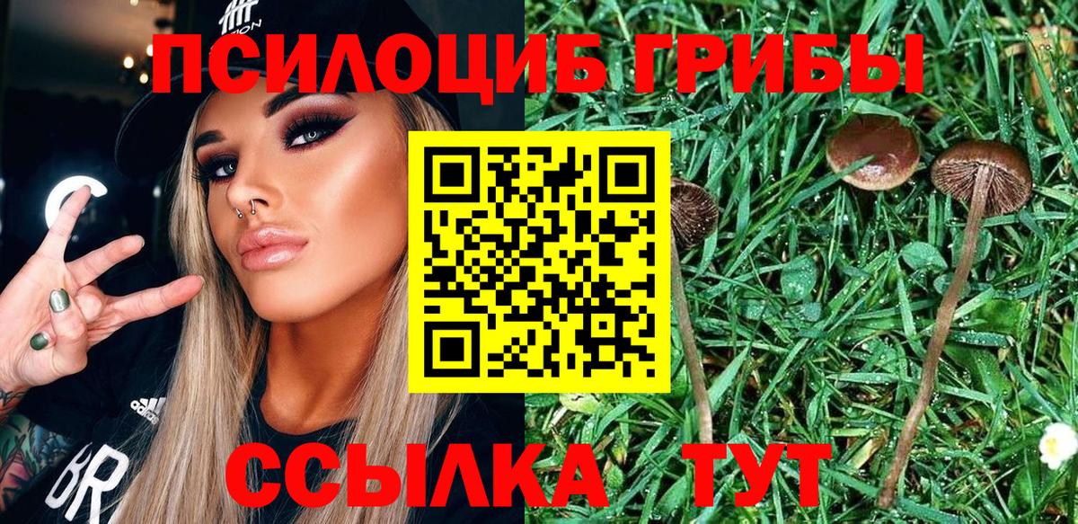 A-PVP Сызрань
